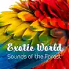 Mothers Nature Music Academy - Exotic World - Sounds of the Forest, Sea, Birds, Tropical Rainforest, Night Animals and Wild Life for Deep Relaxation and Mental Restoration
